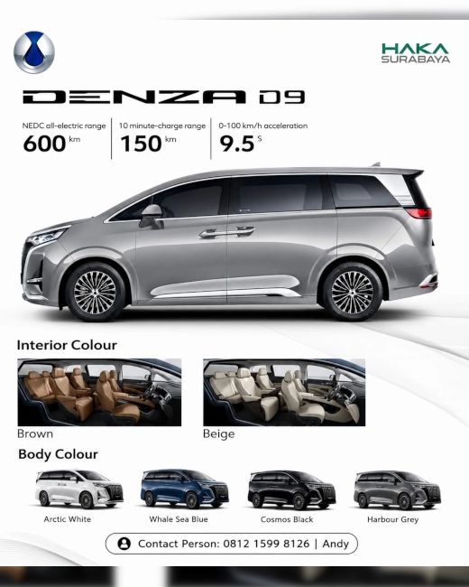  Banner DENZA D9 EV 1 