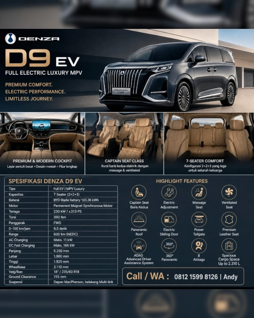  Banner DENZA D9 EV 